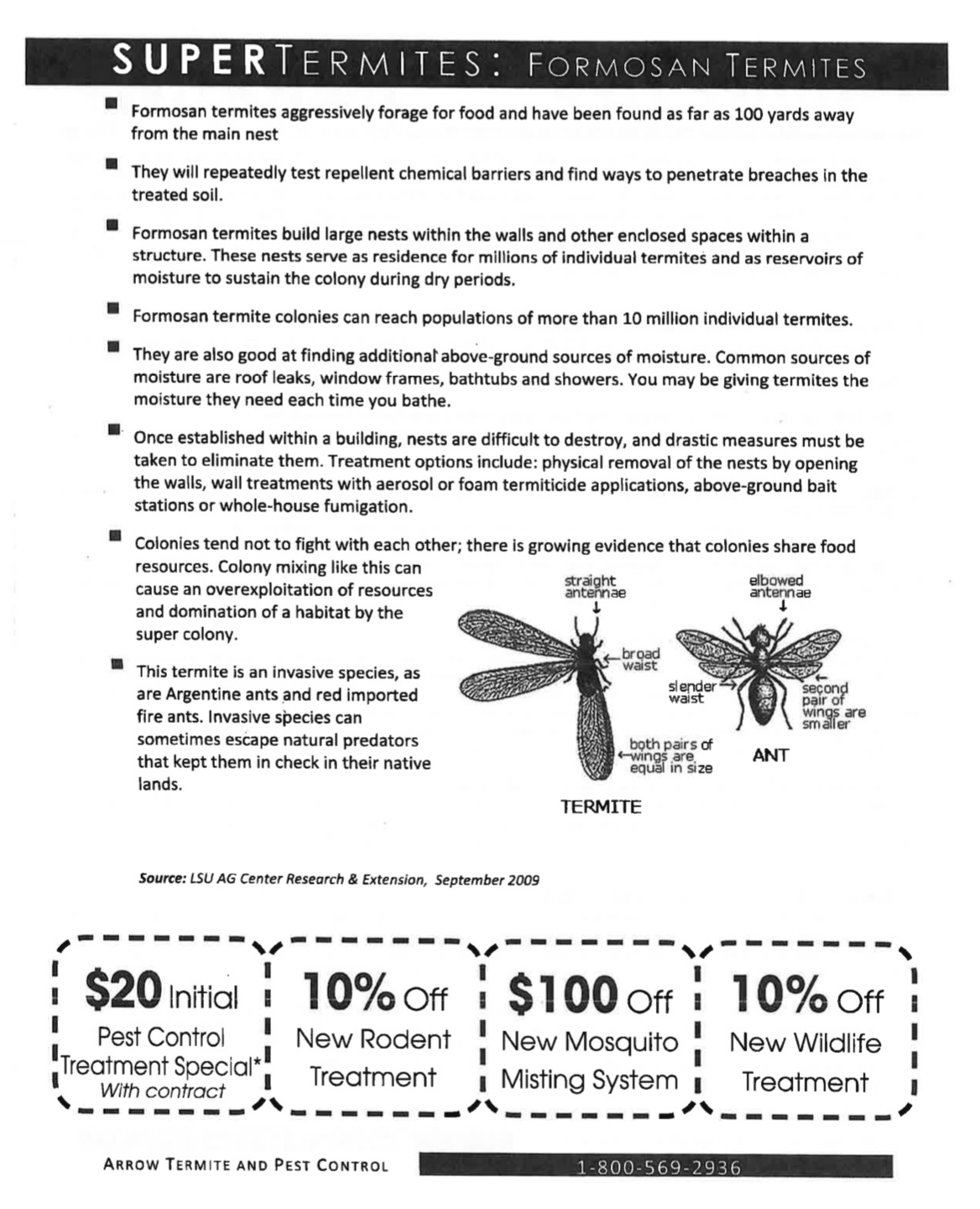 This image has an empty alt attribute; its file name is 0c313ccb-d364-4350-b19d-85f5e0940683.jpeg